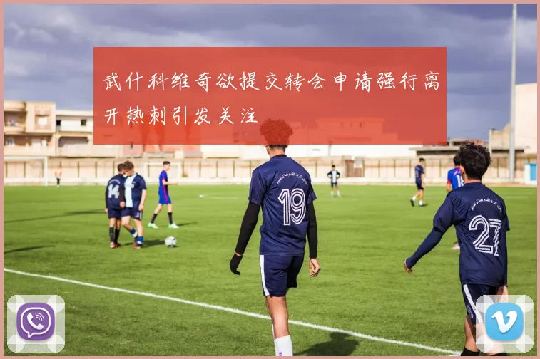 武什科维奇欲提交转会申请强行离开热刺引发关注
